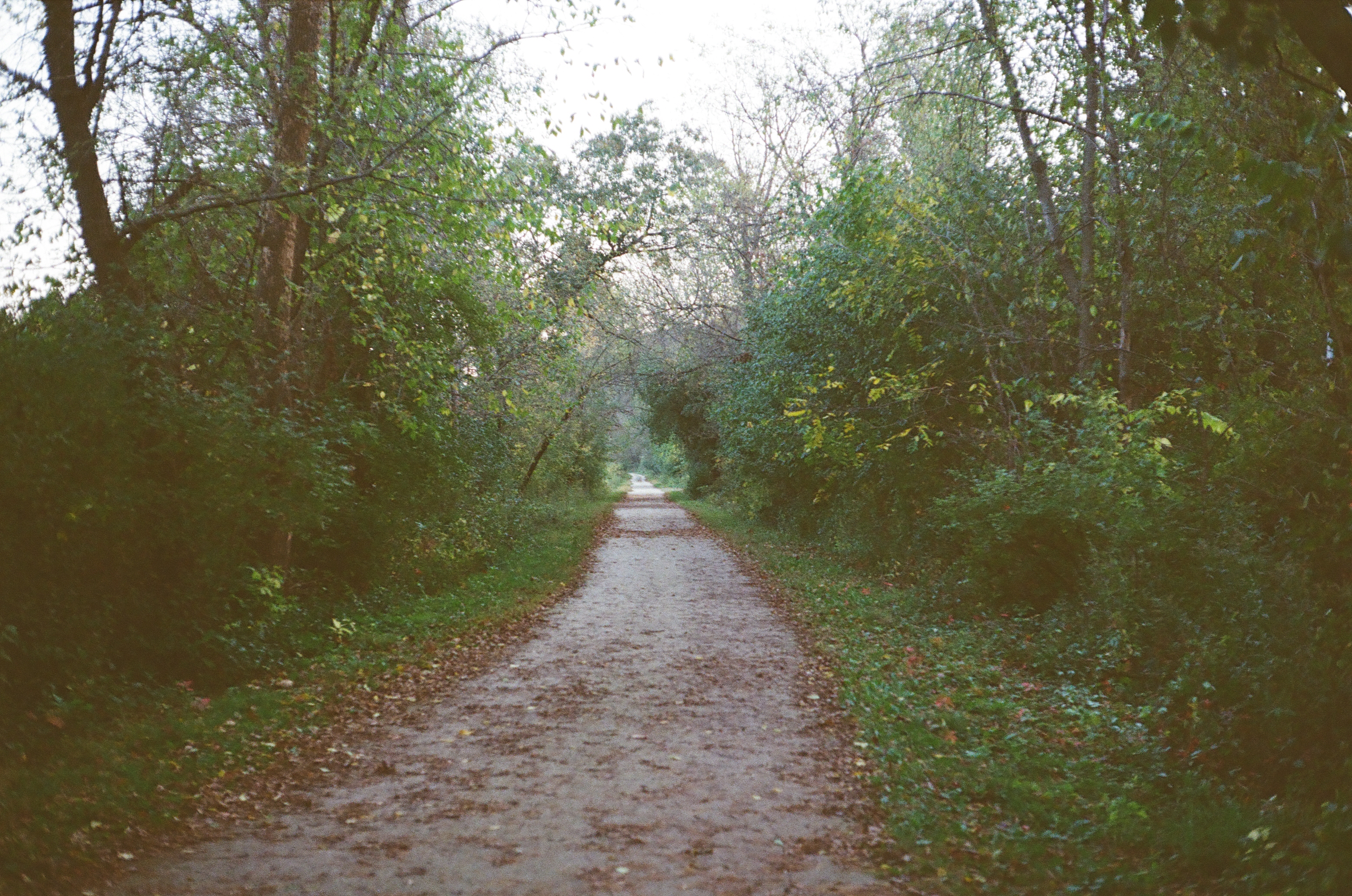 Red Cedar Trail, Menomonie WI - Straight Down the Trail